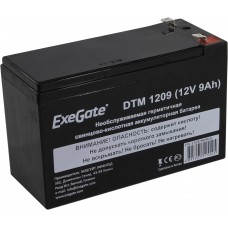 EX282966RUS Аккумуляторная батарея ExeGate DTM 1209